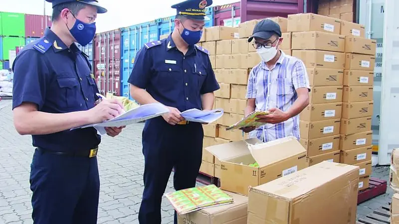 Kiểm tra hàng hóa đóng trong thùng carton tại khu vực container